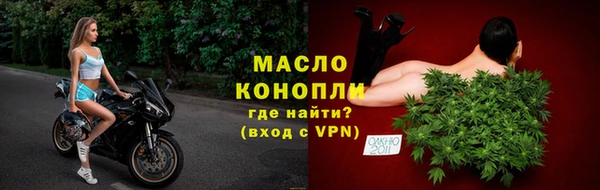 гашик Дмитриев