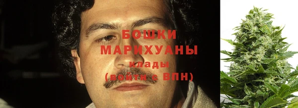 гашик Дмитриев
