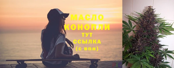 гашик Дмитриев