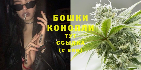 гашик Дмитриев