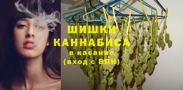 гашик Дмитриев