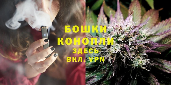 гашик Дмитриев